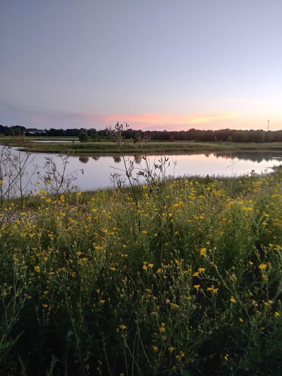 George Bush Park - Image 1