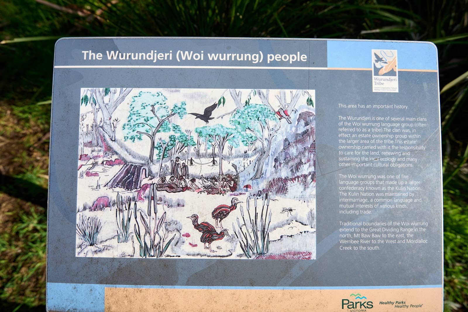 Wildlife Spotting