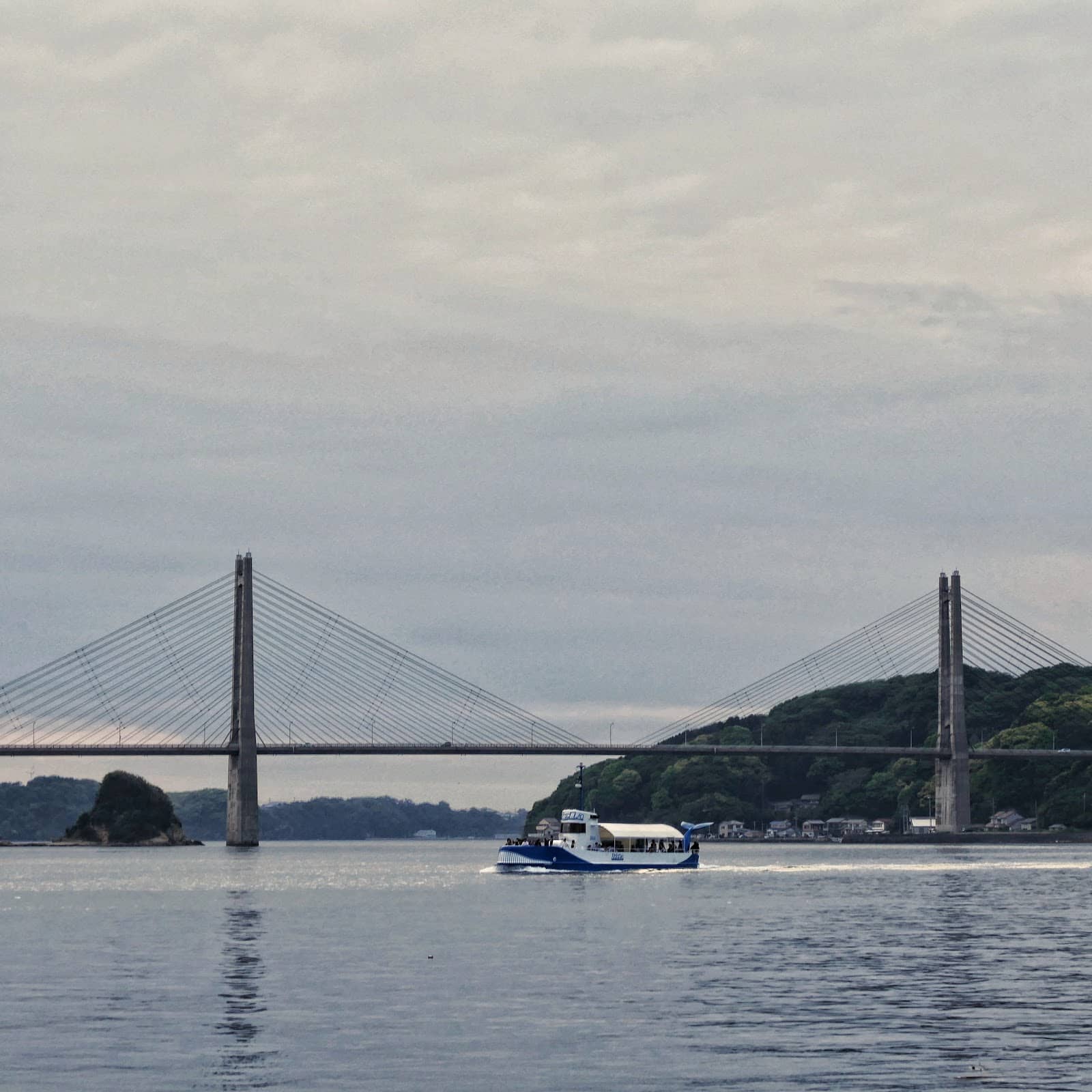 Vertical photo