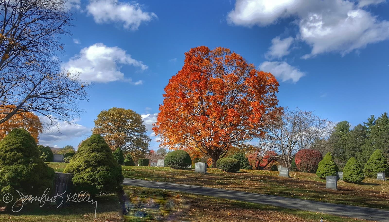 Fairview Cemetery - Image 1