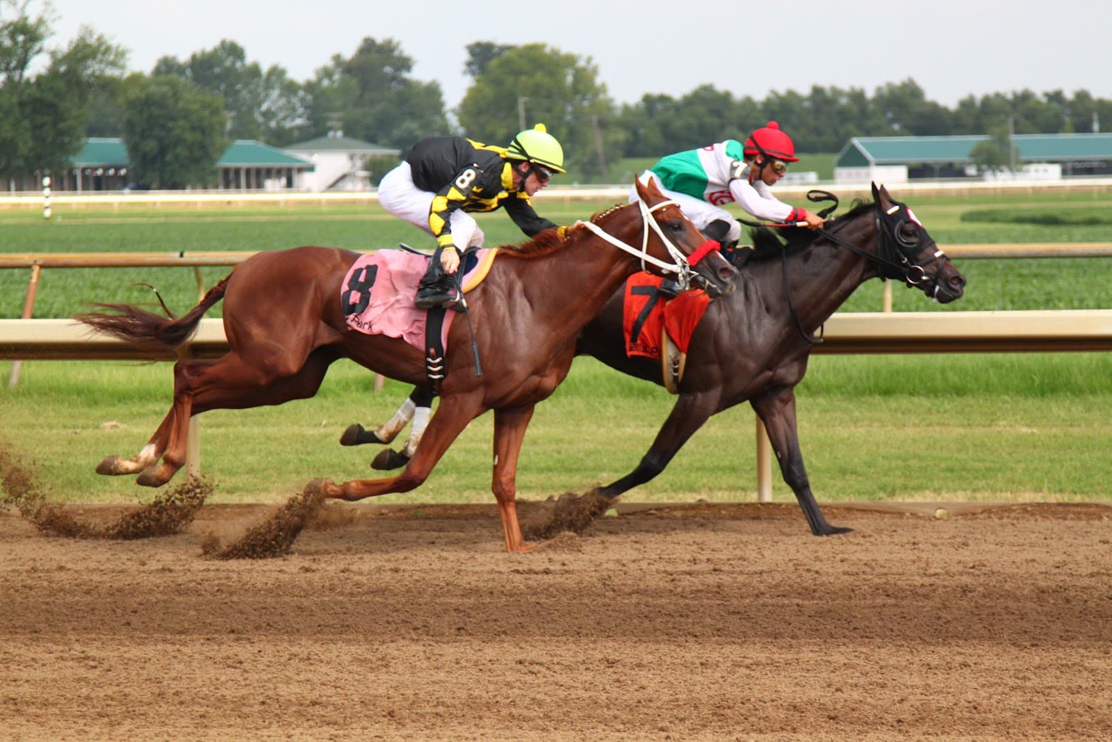 Ellis Park Racing & Gaming - Image 1