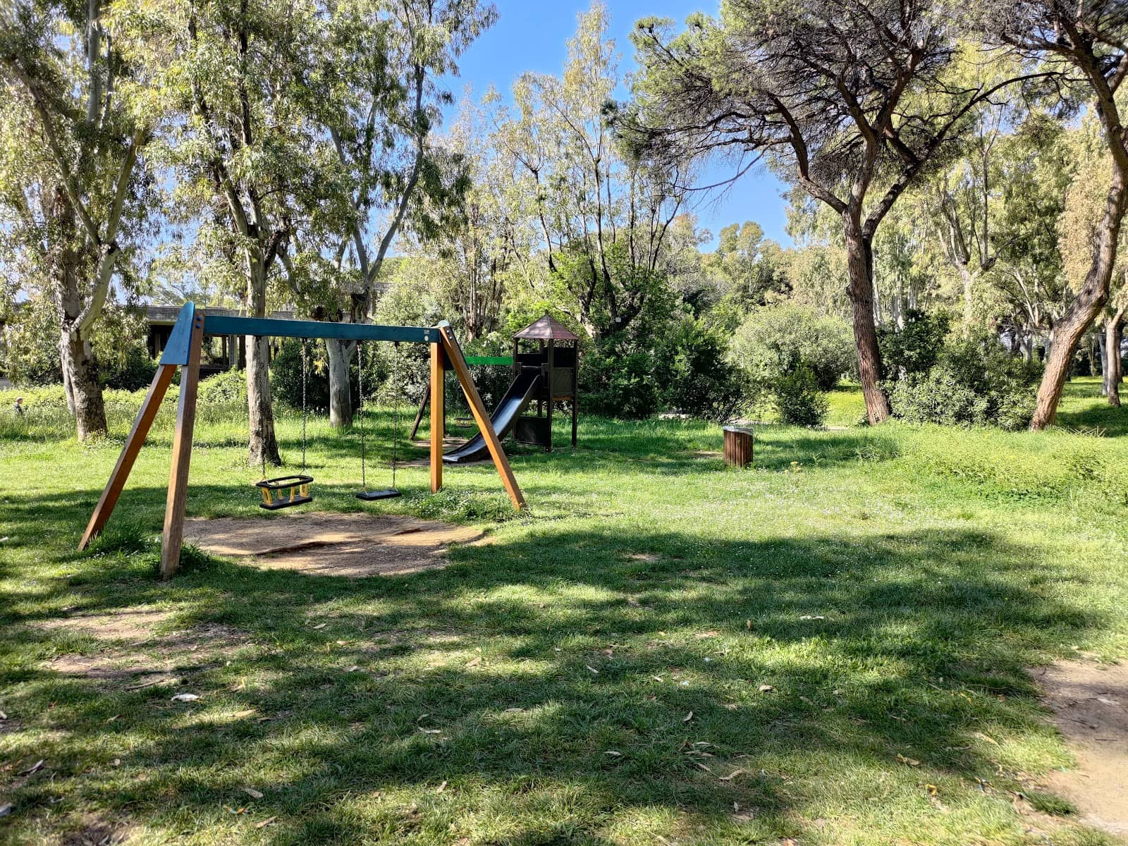 Senior Activity Zone