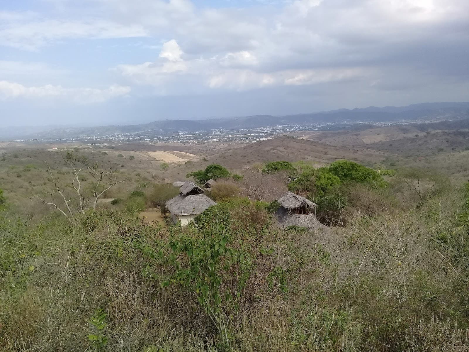Hojas–Jaboncillo Archaeological Park - Image 1