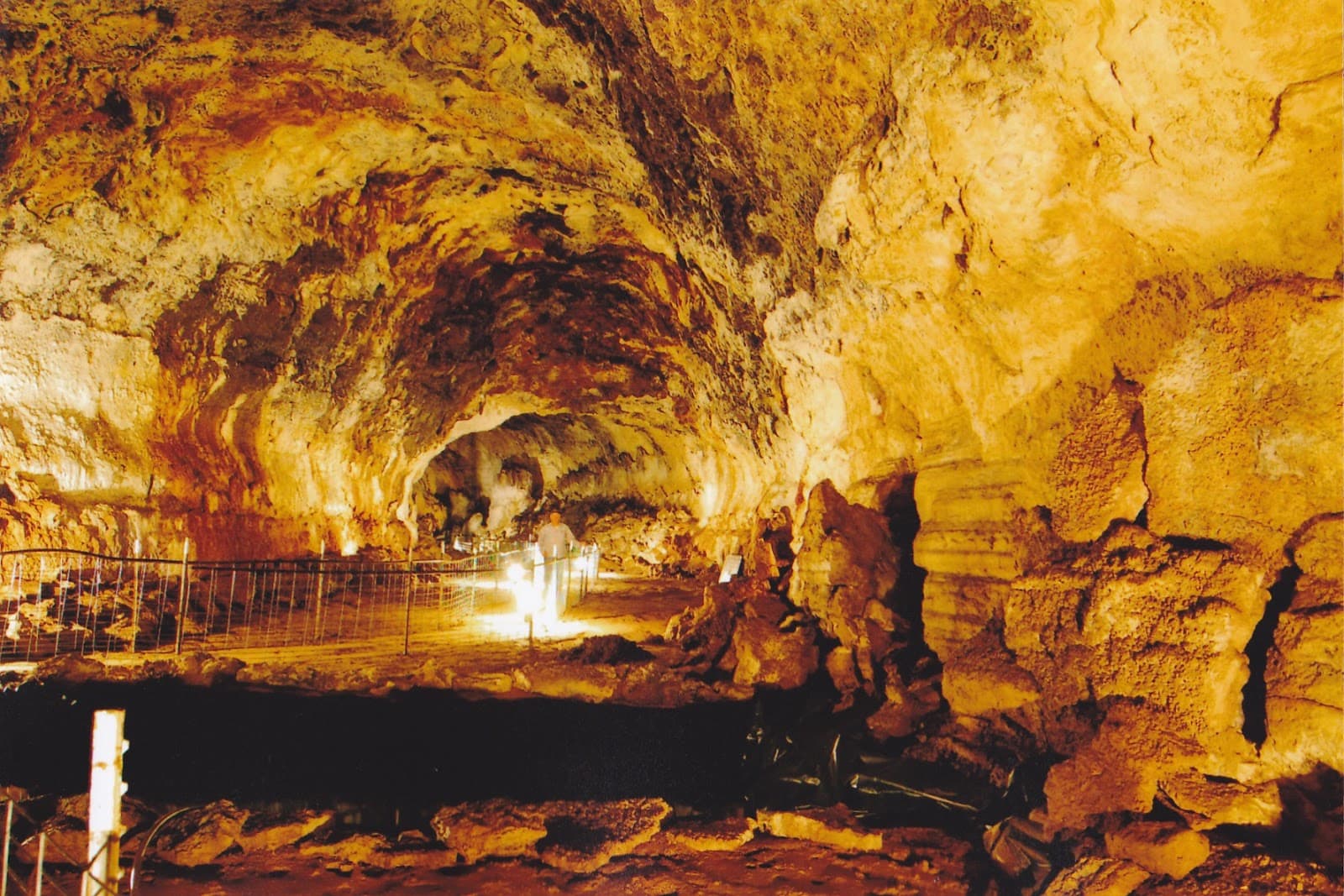 Mammoth Cave National Park & Shoshone Bird Museum - Image 1