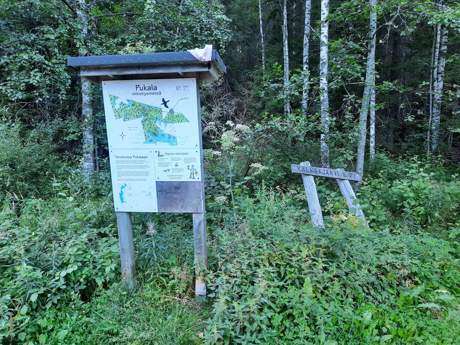 Vertical photo