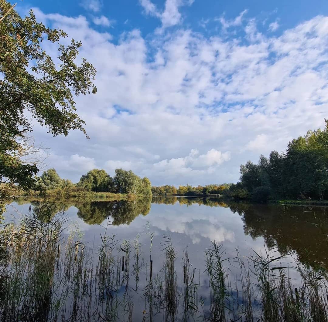 Belevenissen Forest