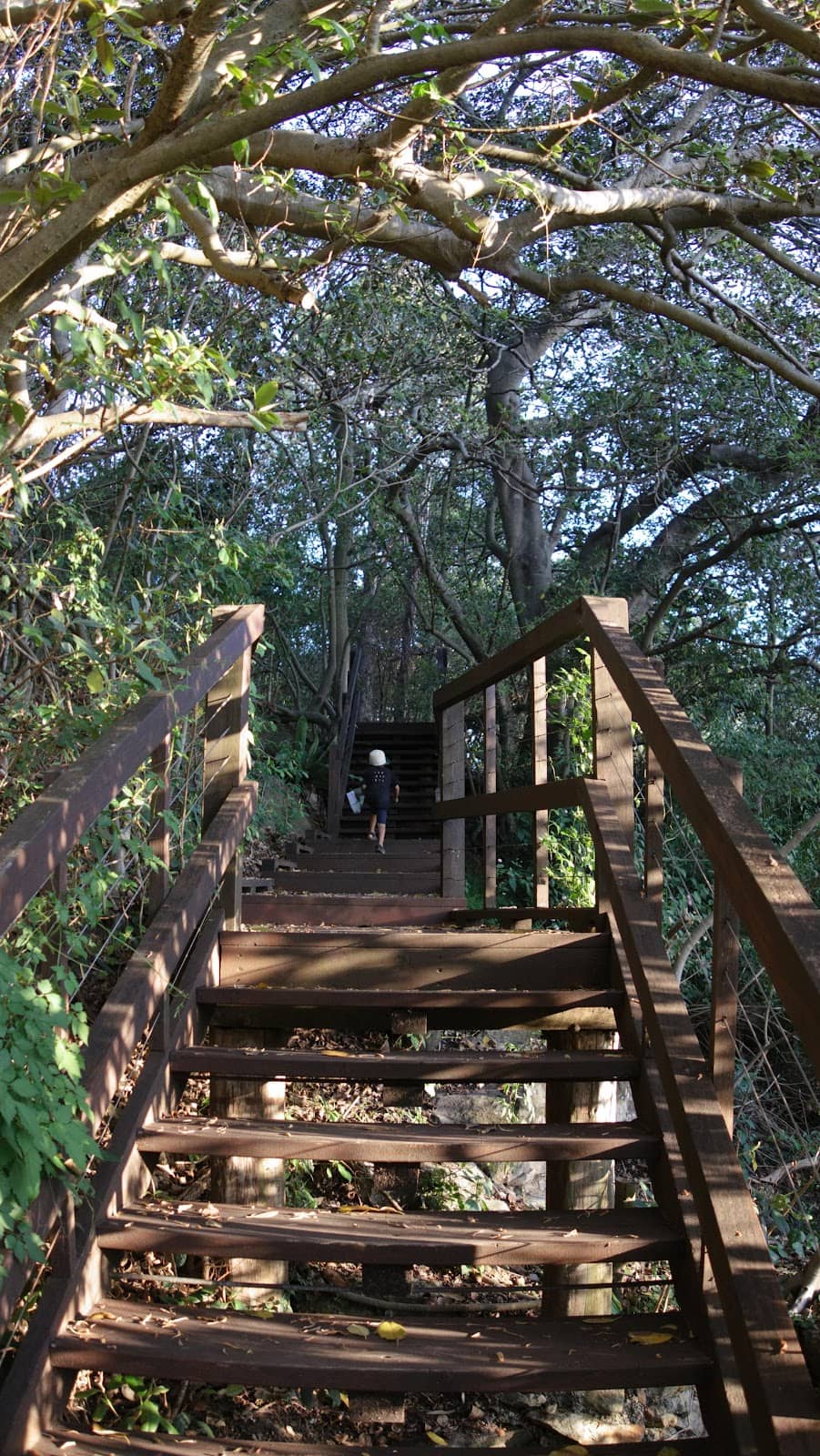 Vertical photo