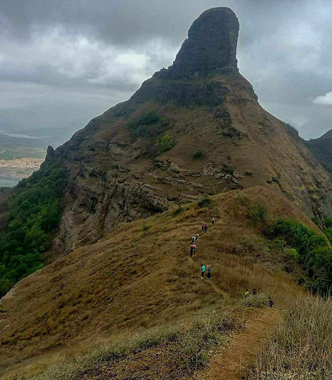 Vertical photo