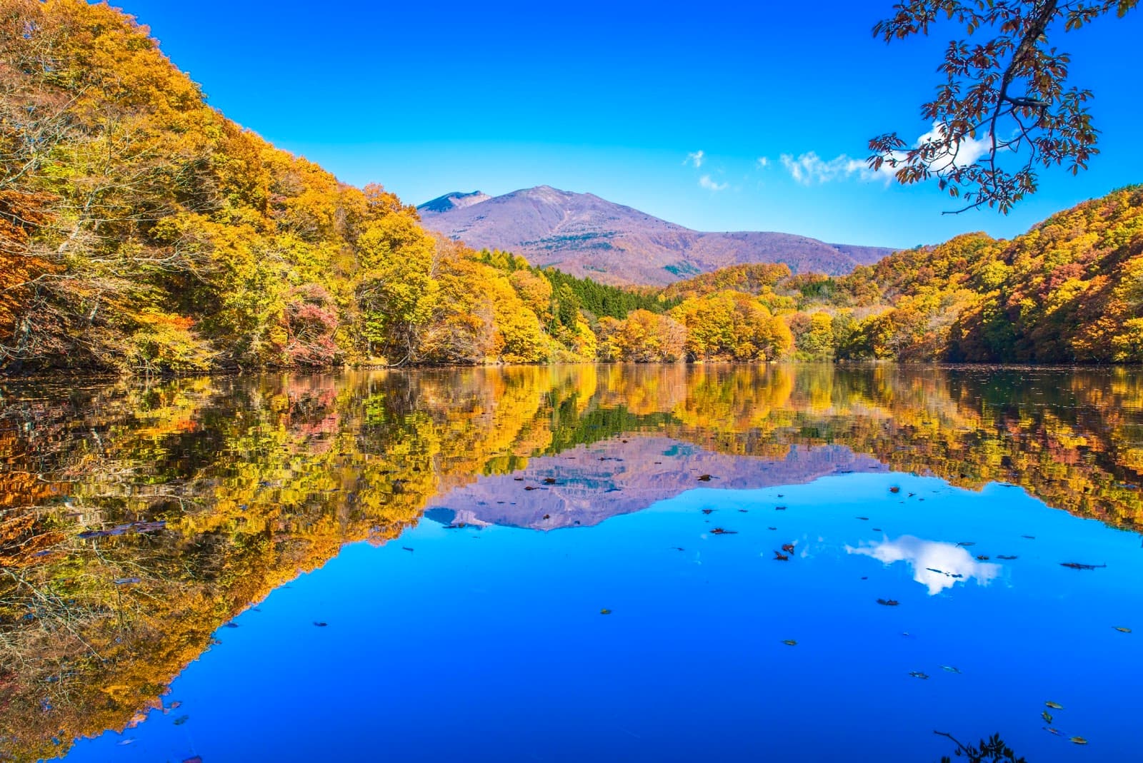 Lake Choro - Image 1