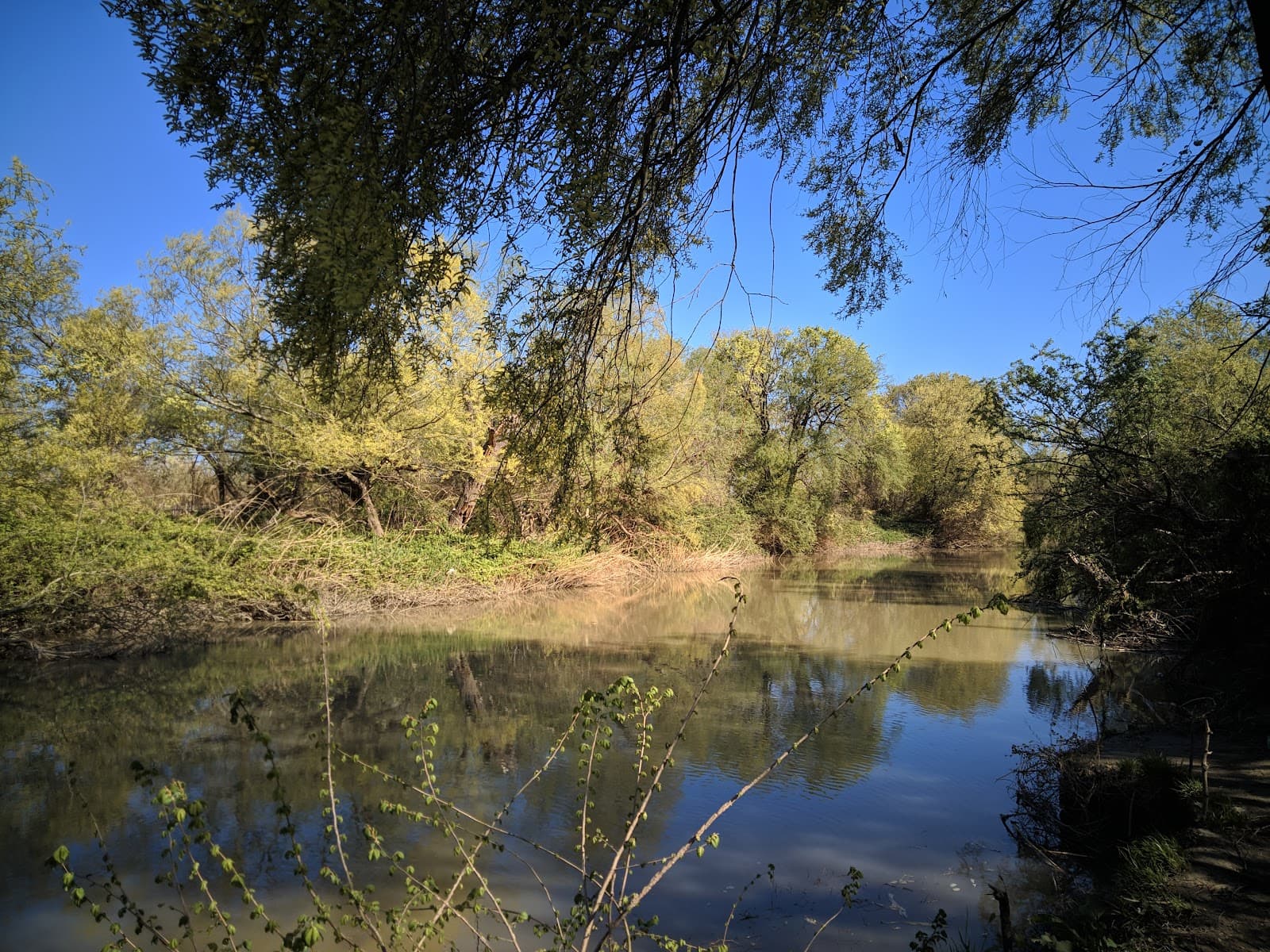 Foce dell'Ofanto Nature Reserve - Image 1