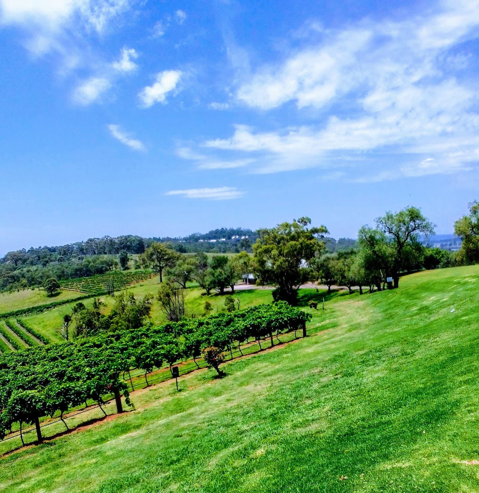 Hunter Valley - Image 1