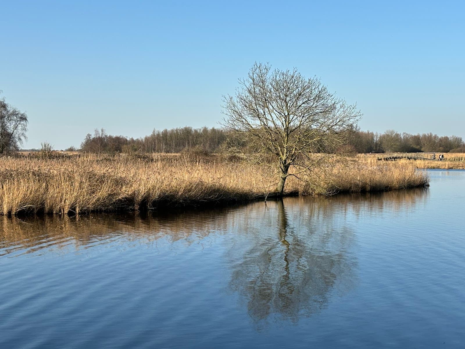 't Twiske - Image 1