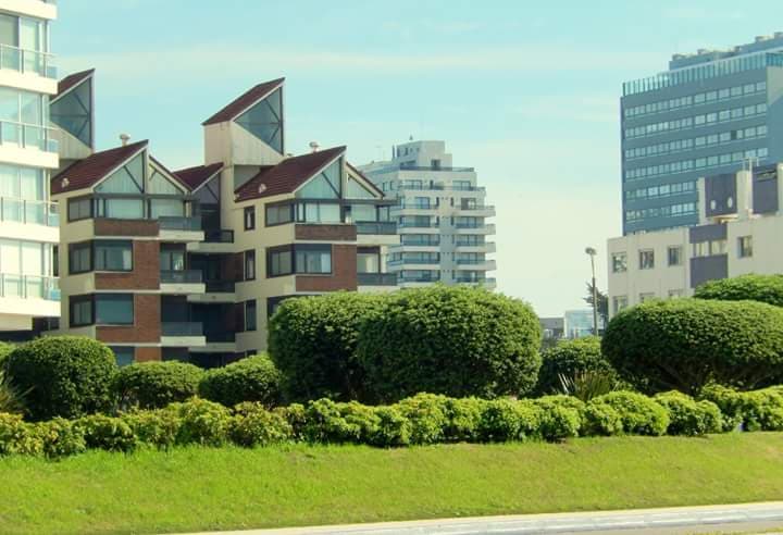 Aidy Grill Neighborhood - Image 1