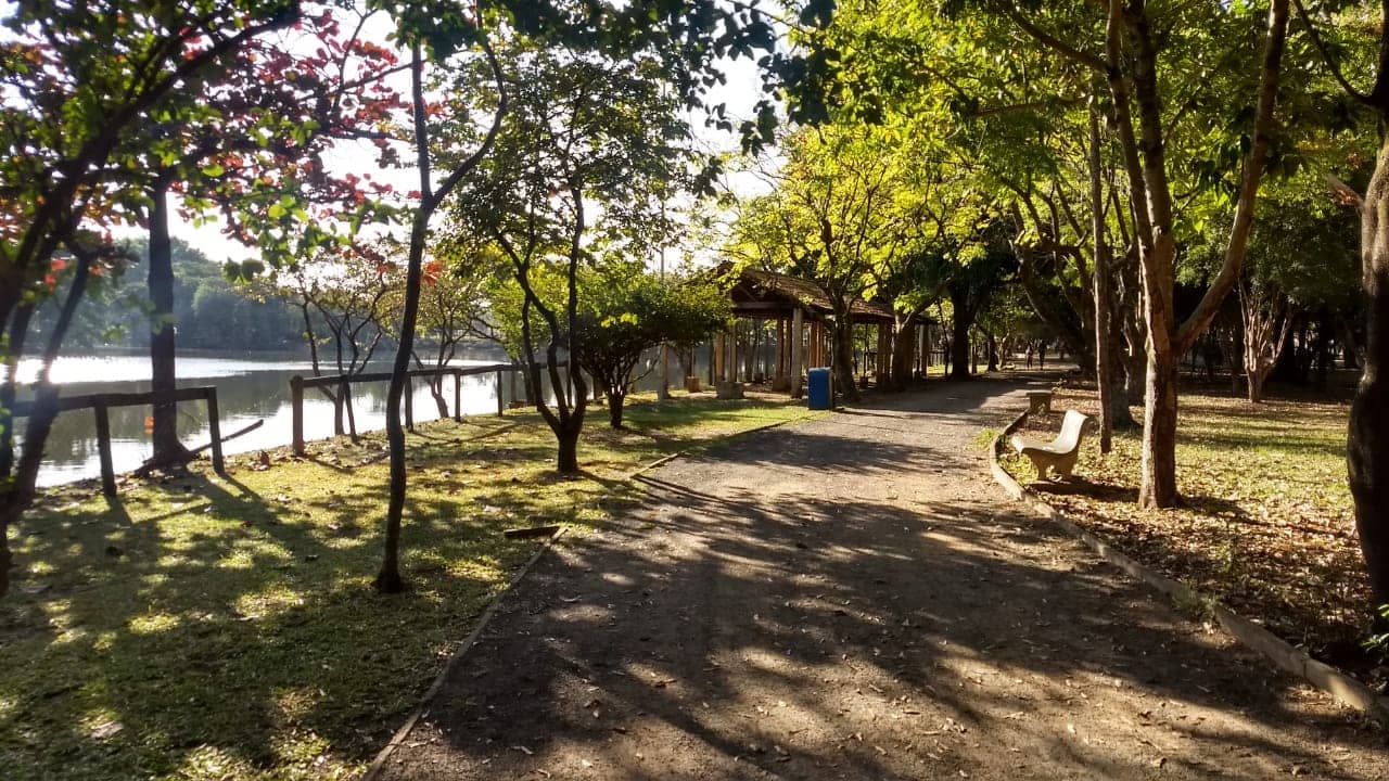 Bird Watching Opportunities