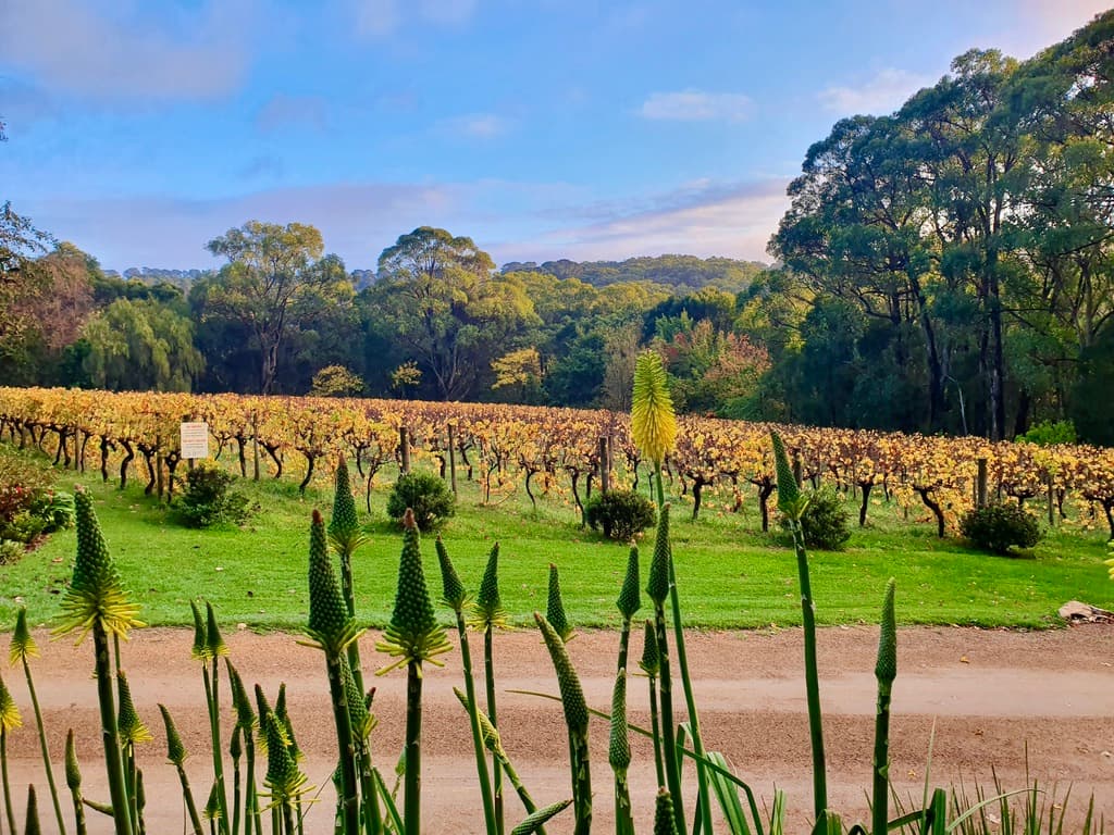 Main Ridge Estate - Image 1