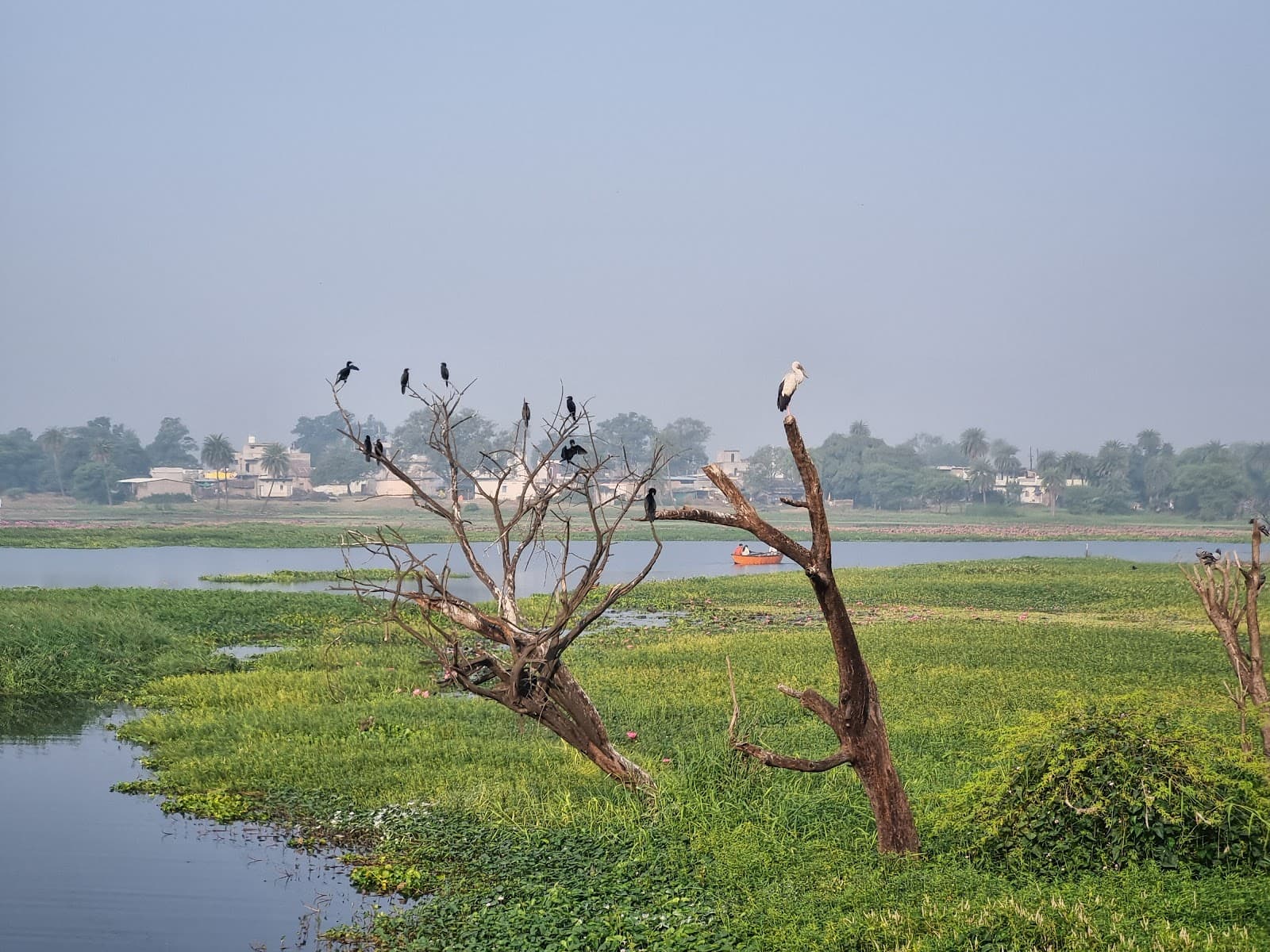 Gulawat Lotus Valley - Image 1