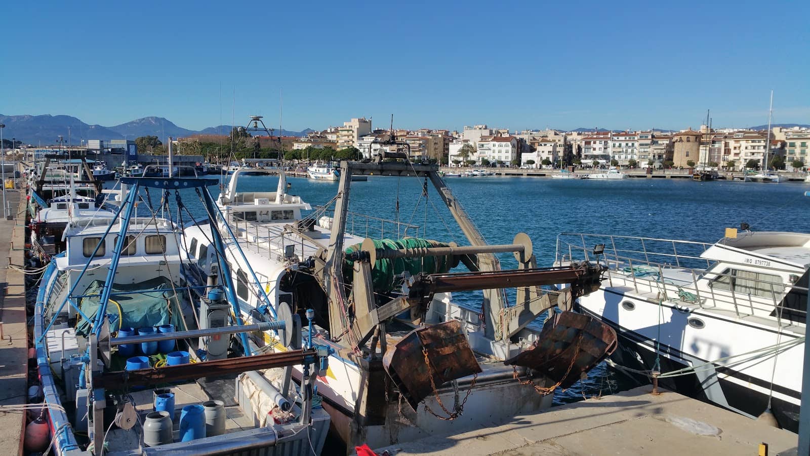 Catamaran Cruises