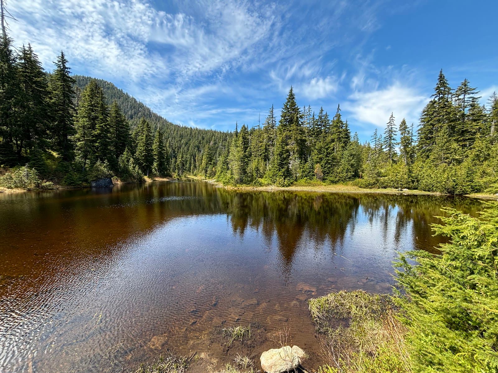 Yew Lake - Image 1