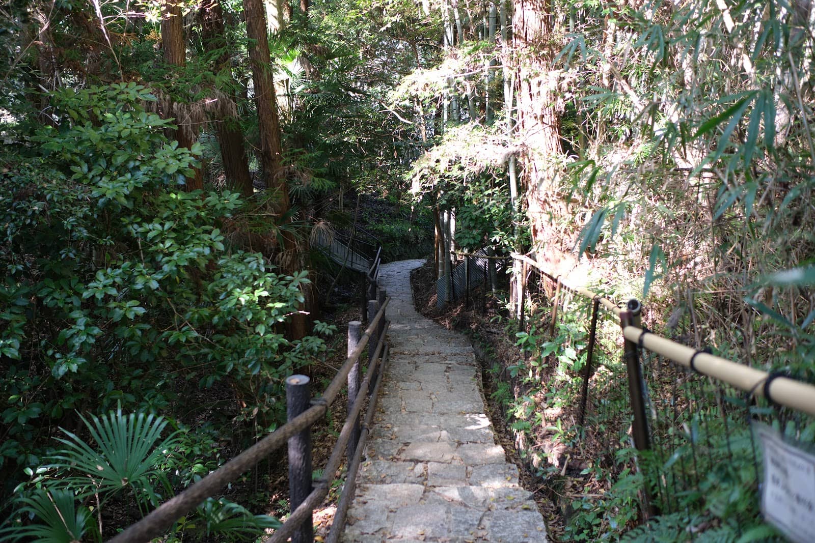 Secluded Temples and Shrines