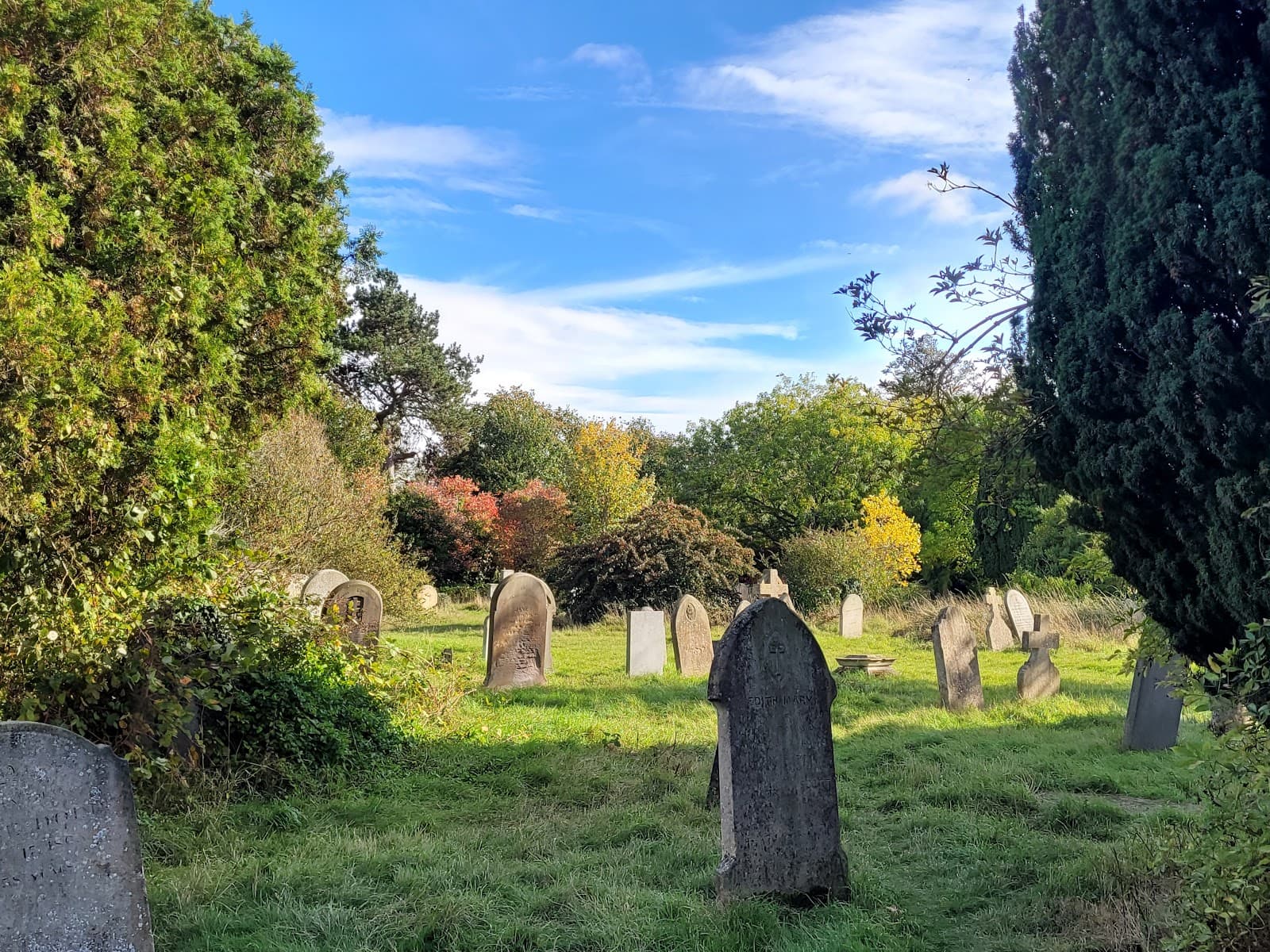 Mill Road Cemetery - Image 1