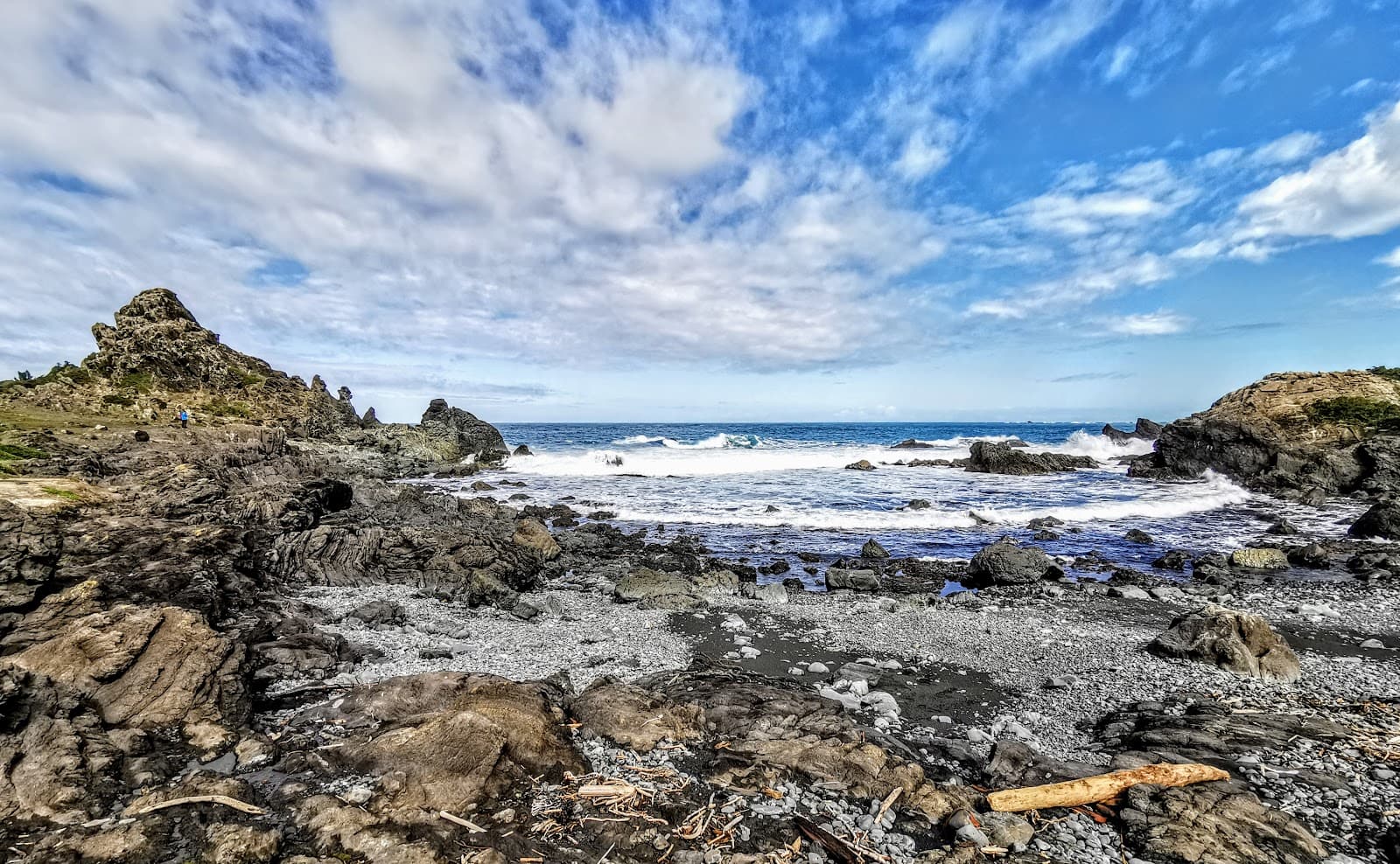 Cape Palliser Seal Colony - Image 1