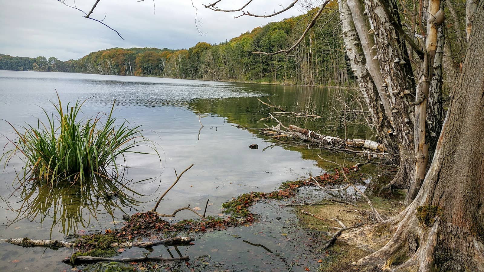 Hafenfestspiele Wolgast