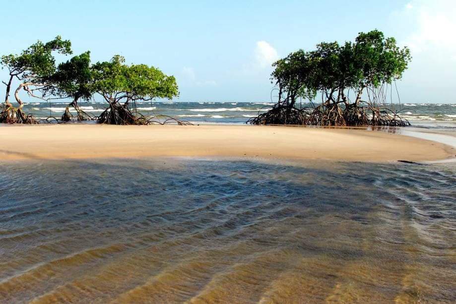 Praia de Soure Soure - Image 1