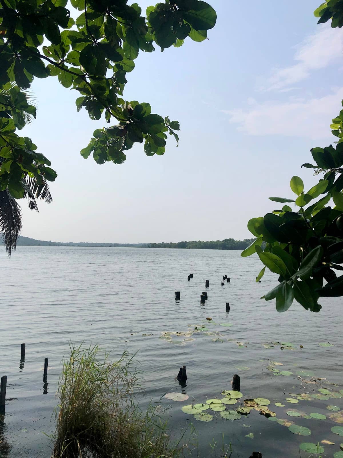 Local Culinary Delights