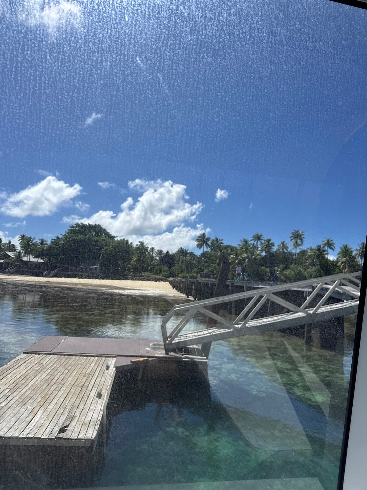 Supermarket Reef Mamanuca Islands - Image 1