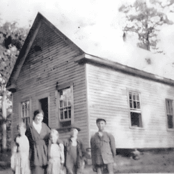 Dahlia Festival Ambiance