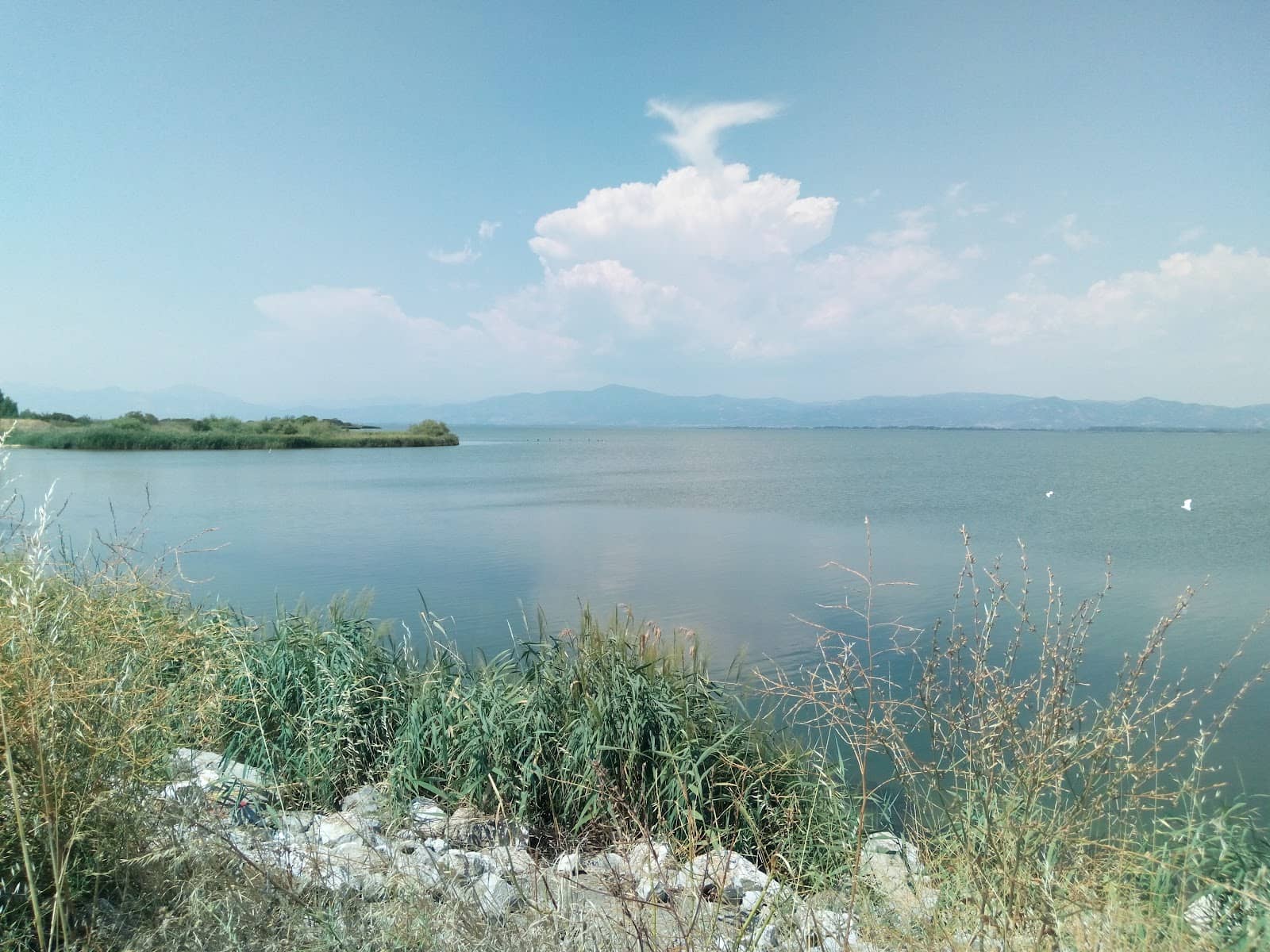 Vertical photo