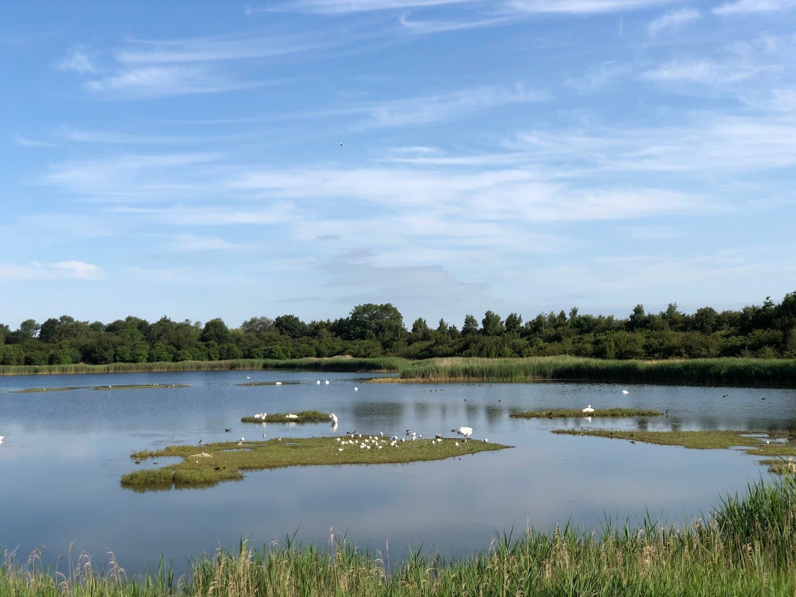 Deeping Lakes Nature Reserve - Image 1