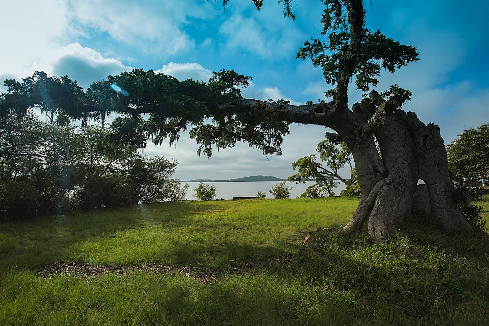 Guaíba River Views