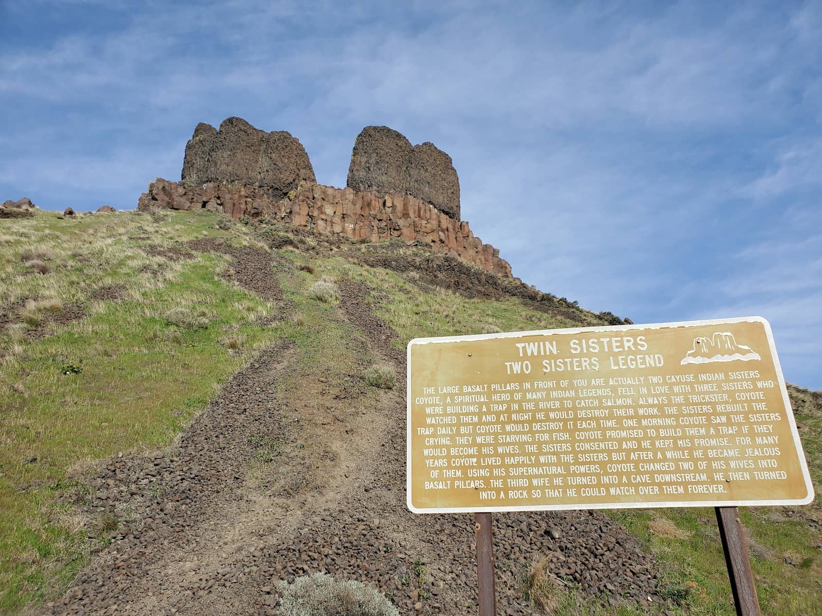 Sandy Trails & Desert Flora