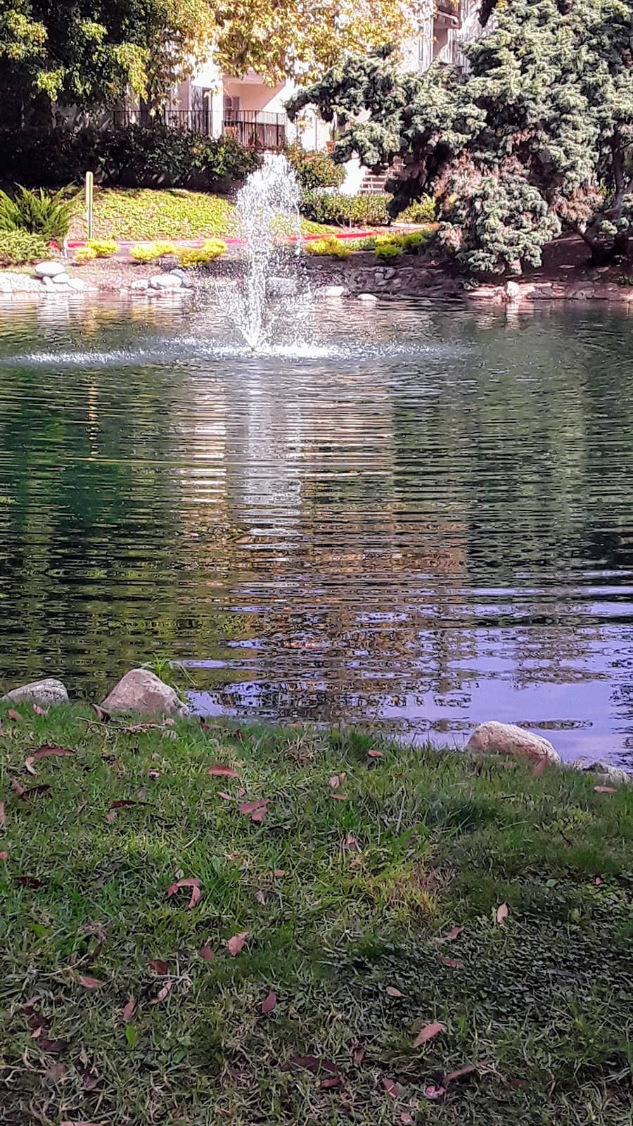 El Carmen Neighborhood