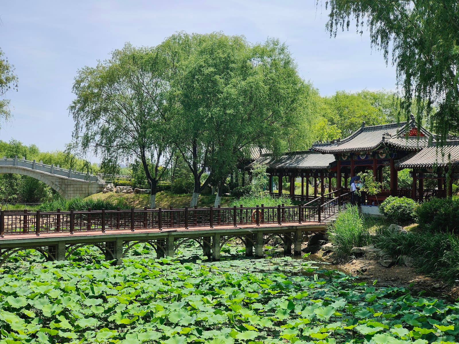 Tianyi Lake Park - Image 1