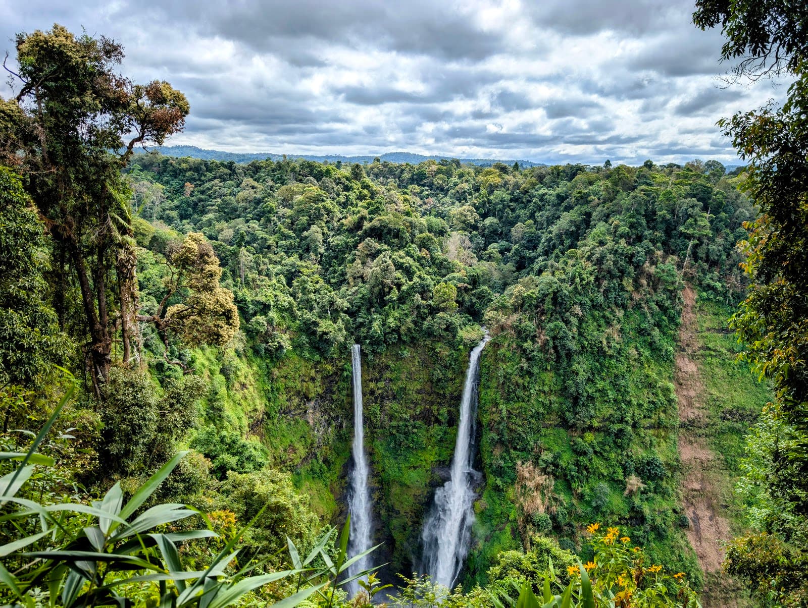 Dong Hua Sao Protected Area - Image 1