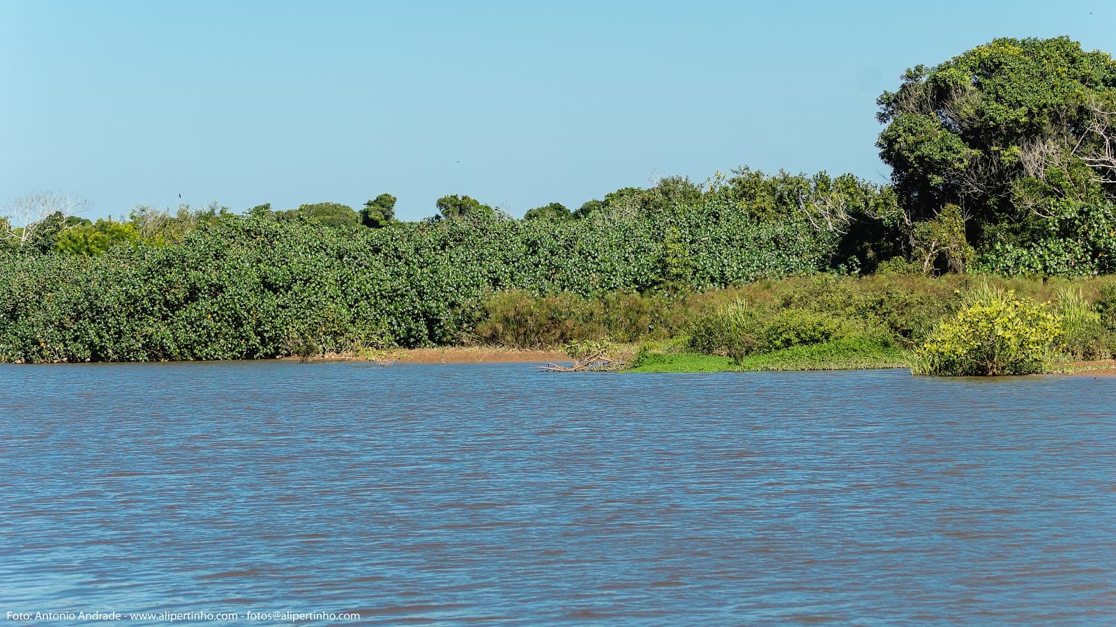 Parque Natural Municipal de Jacarenema Vila Velha - Image 1