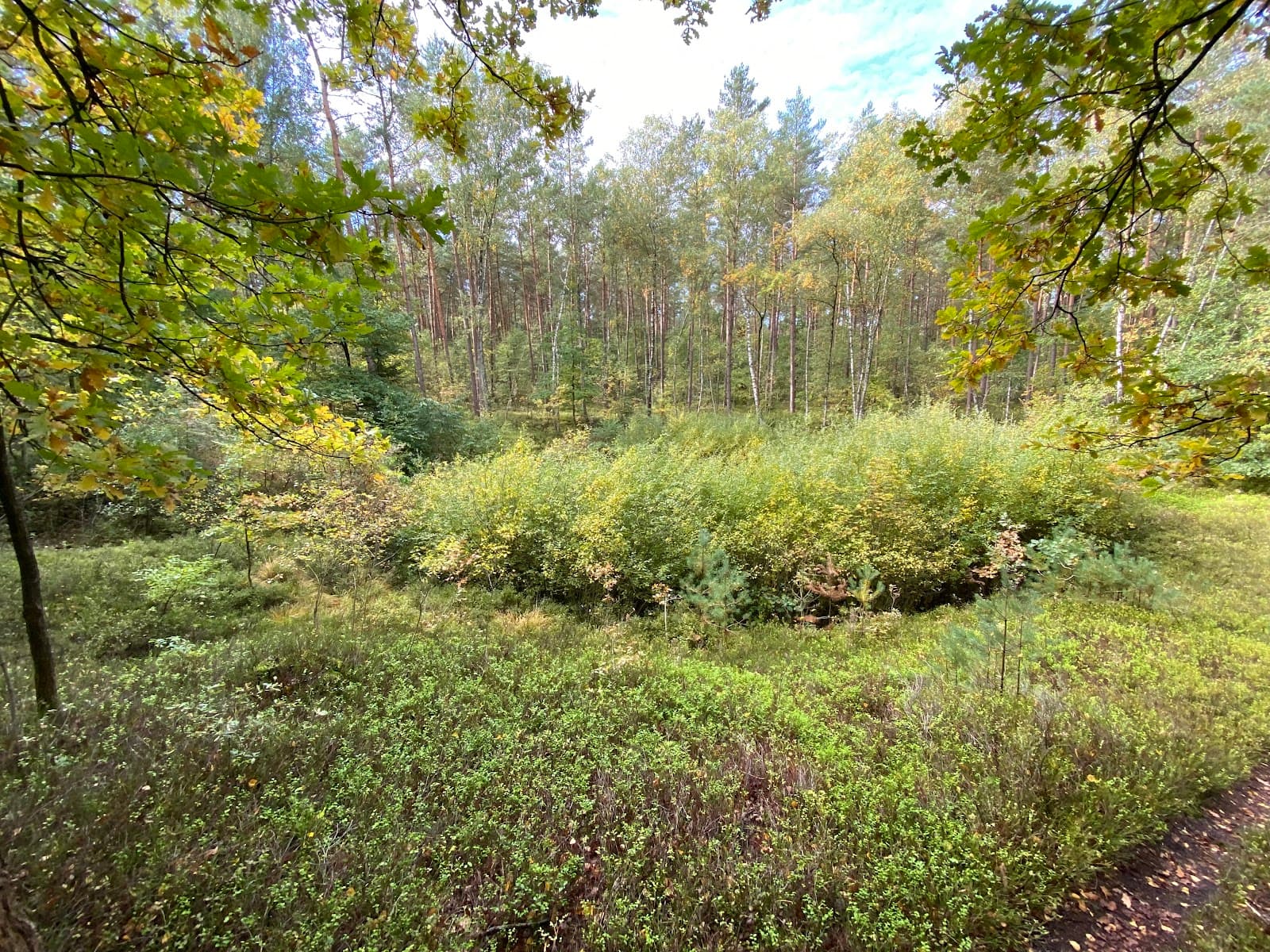 Grundlose Kuhle - Image 1