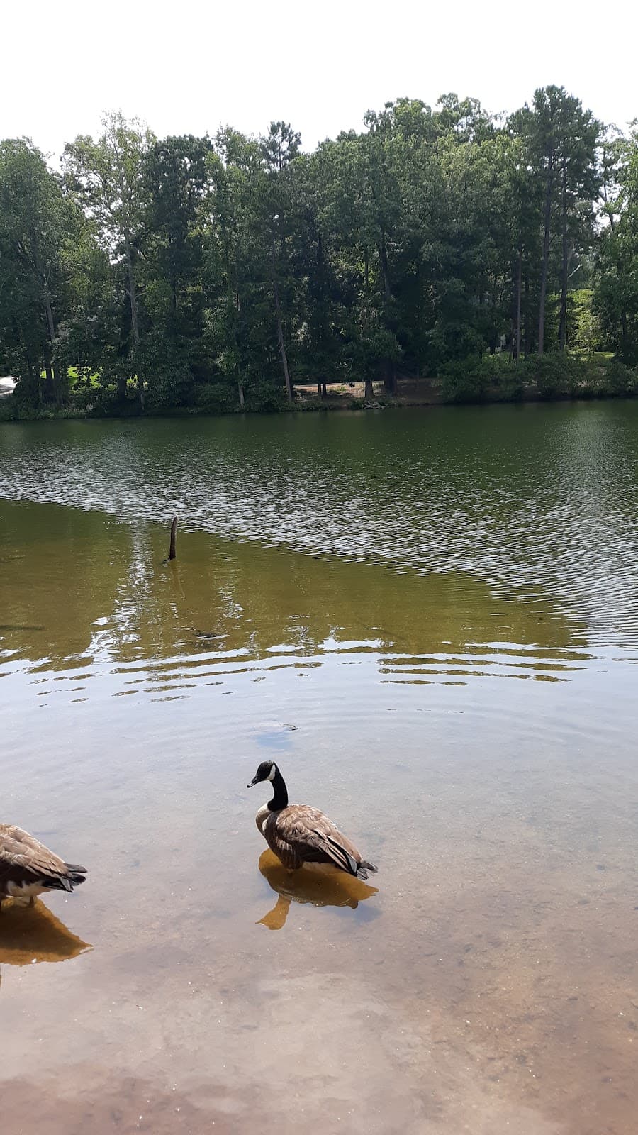 Duncan Park - Image 1