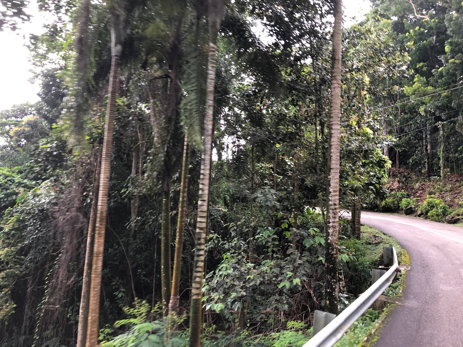 Private Floral Yacht Tour