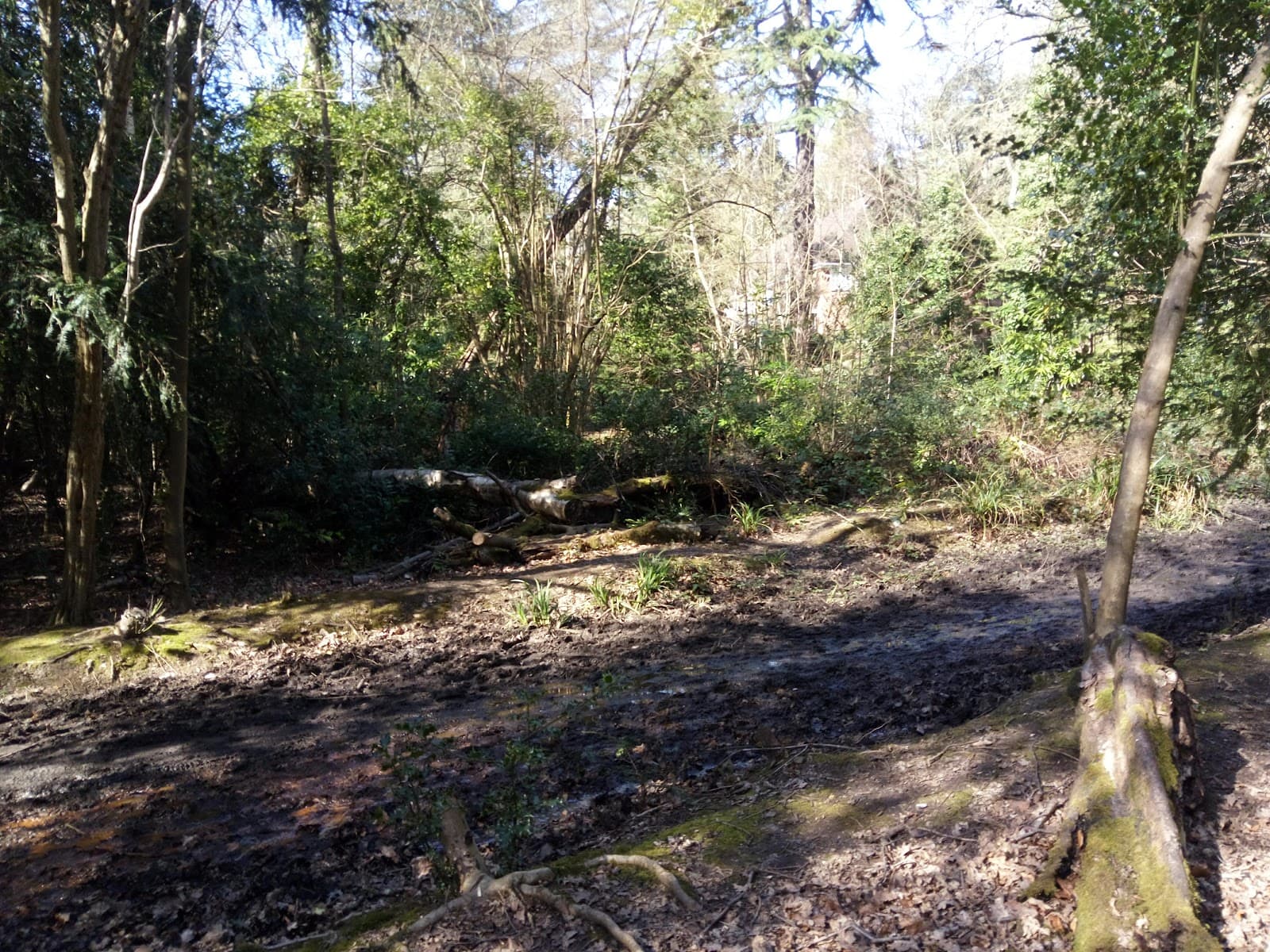 St John's Lye - Image 1