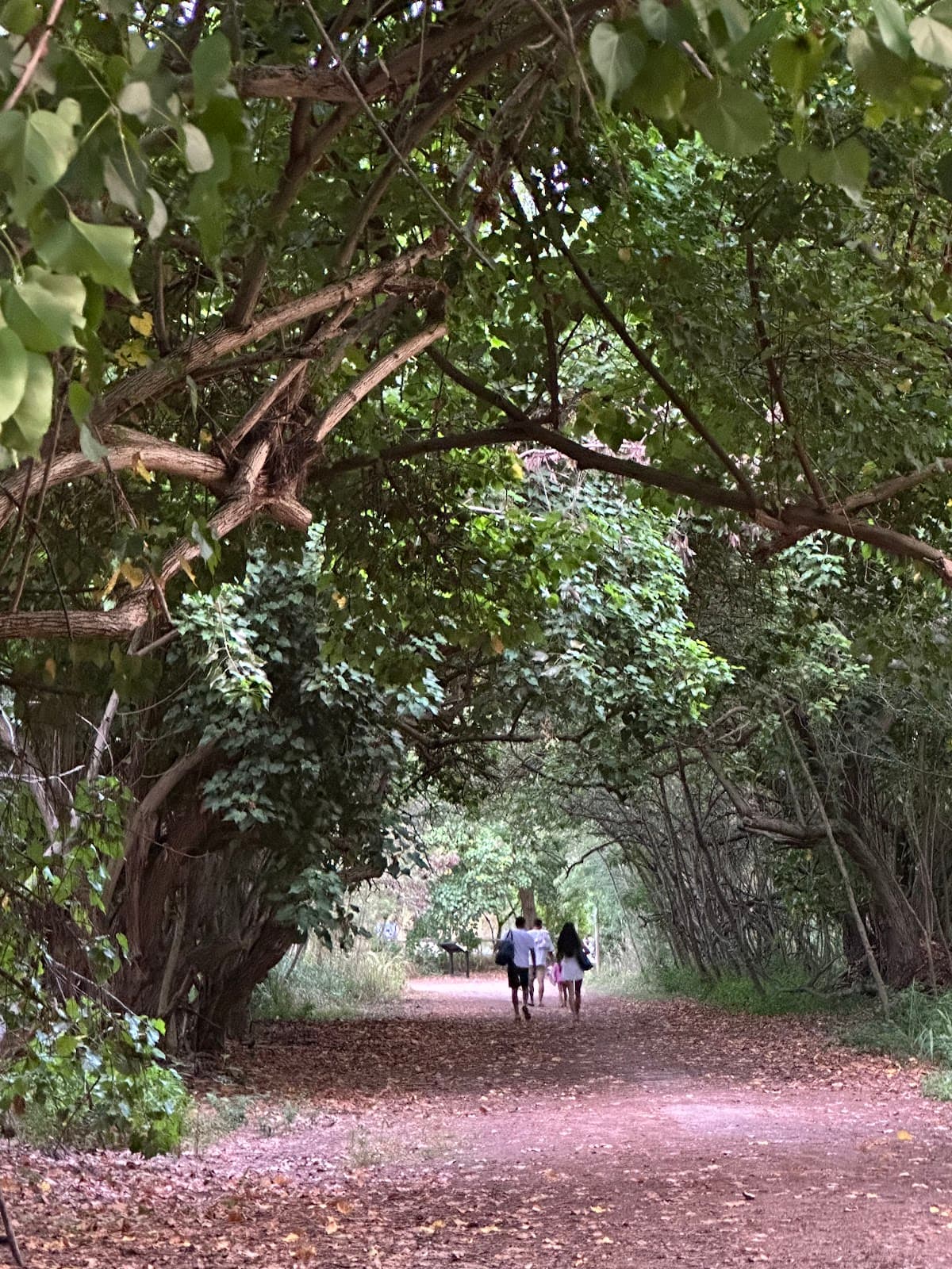 Turtle Bay Coastal Trail - Image 1
