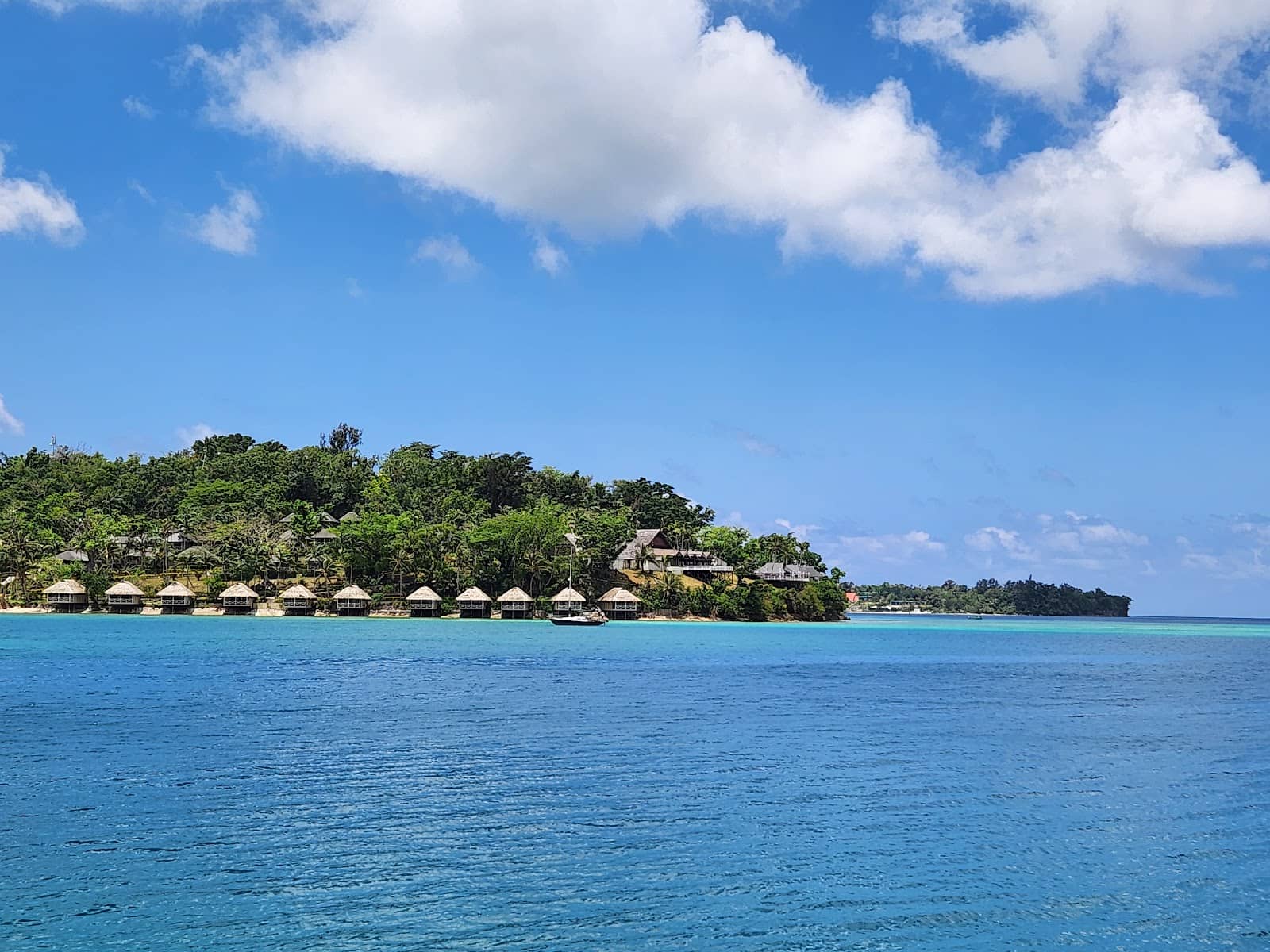 Local Bars & Restaurants