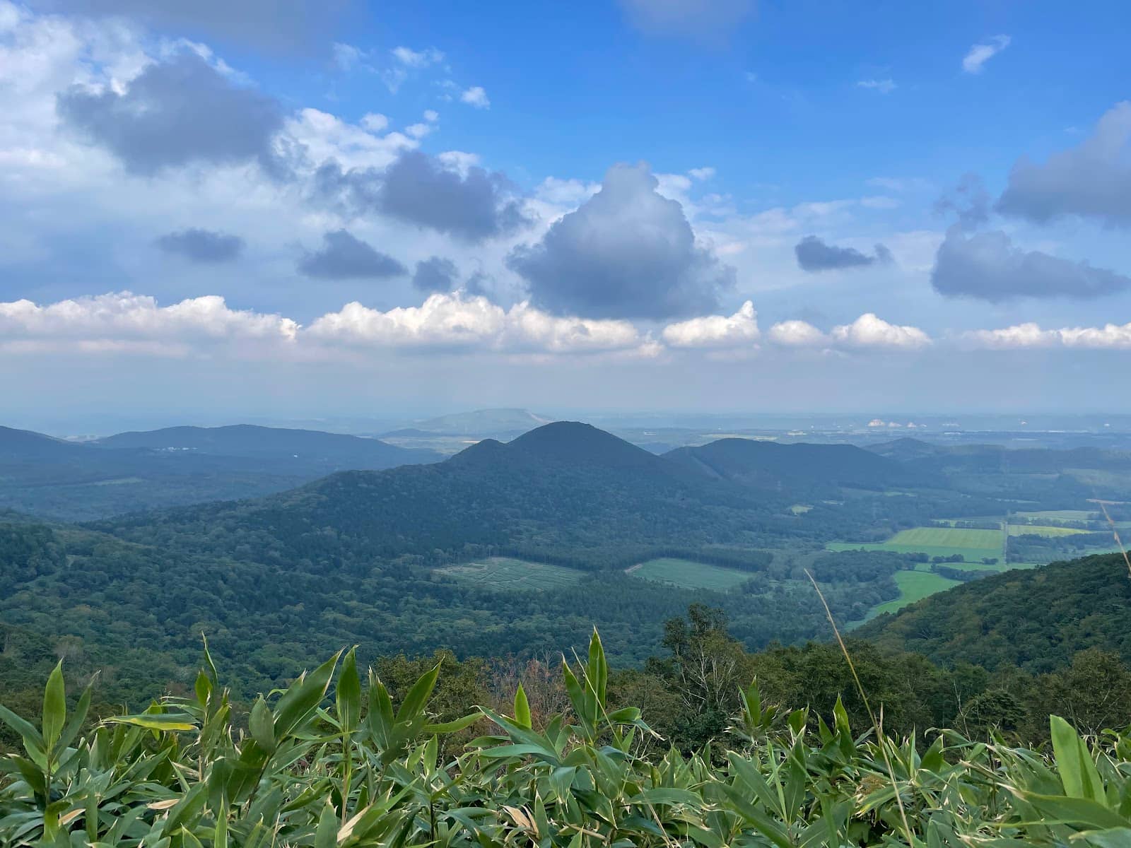 Historic Drive-In Remnants