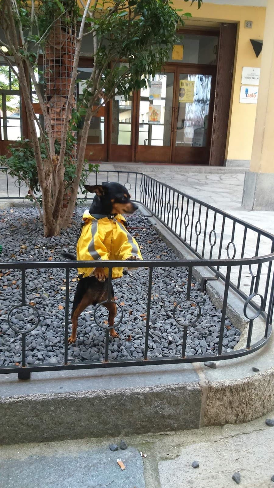 Centro Storico - Image 1