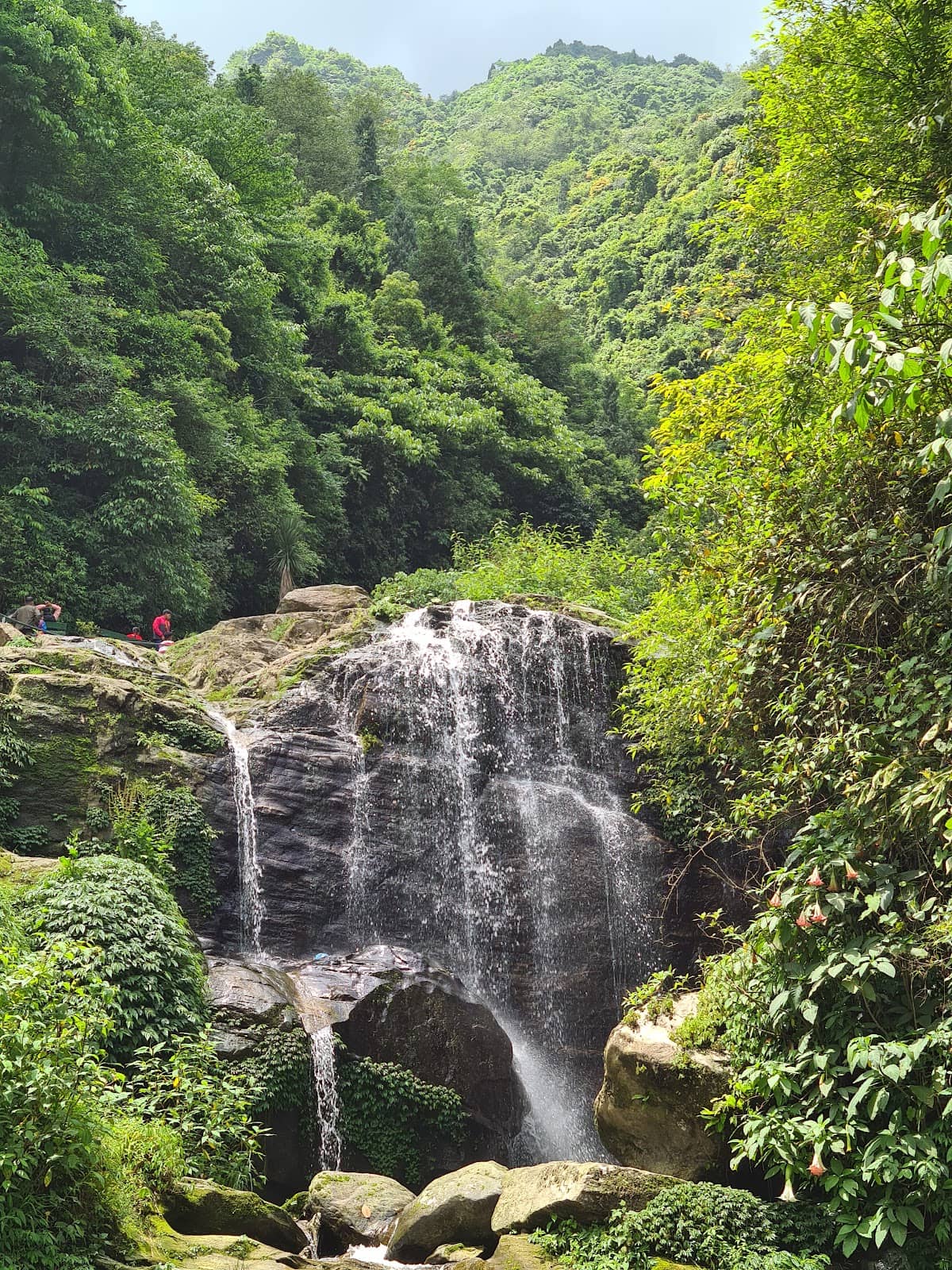 Peaceful Mountain Views