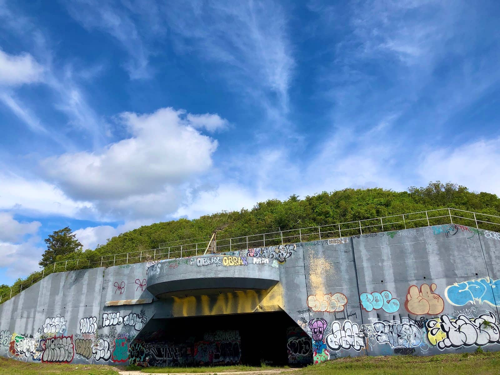 Tranquil Tidal Basin