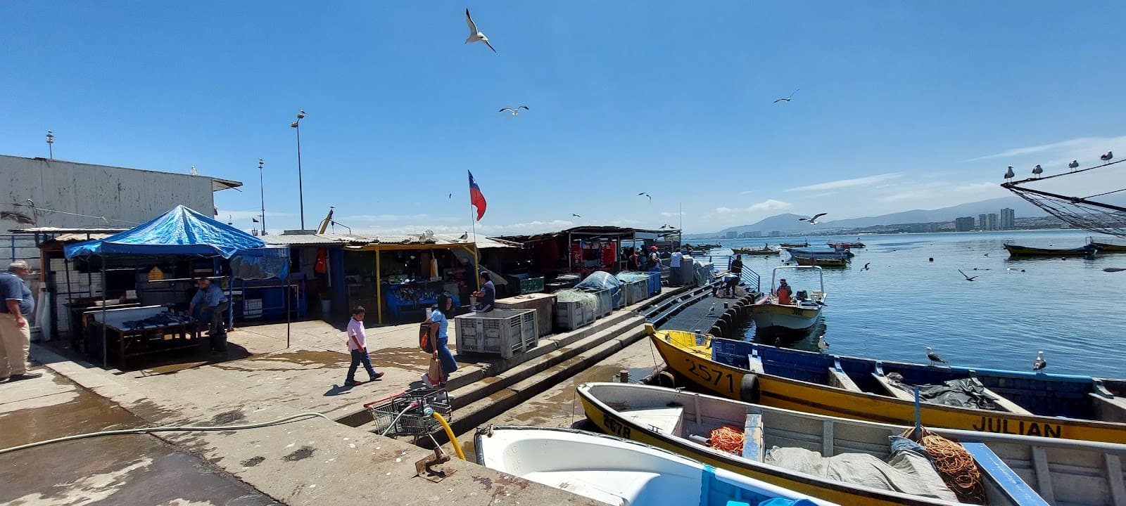 Puerto de Coquimbo - Image 1