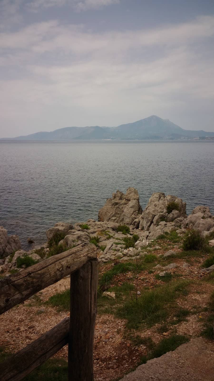 Vertical photo